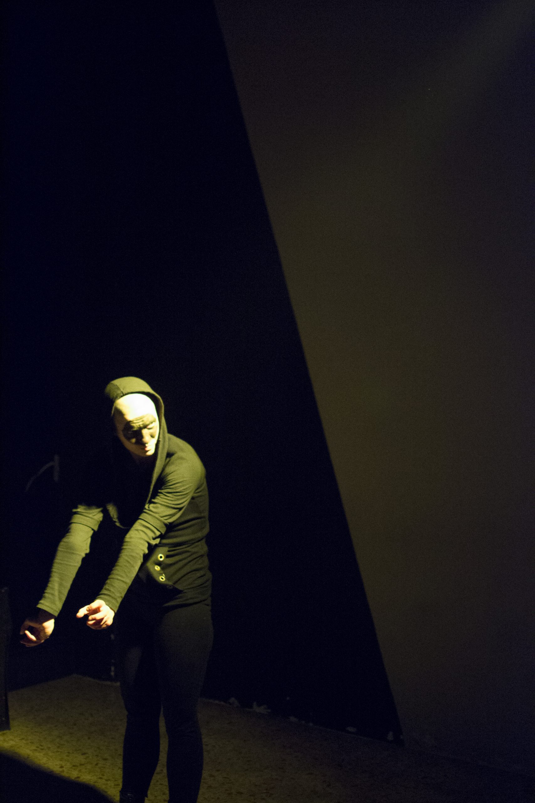 Eloisse Louisse teatro bicho